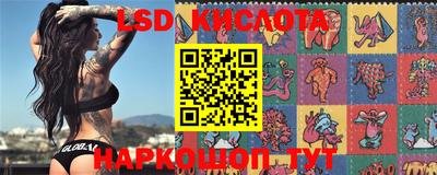 spice Севастополь