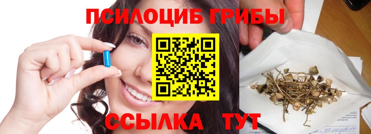 Псилоцибиновые грибы Psilocybine cubensis Отрадное