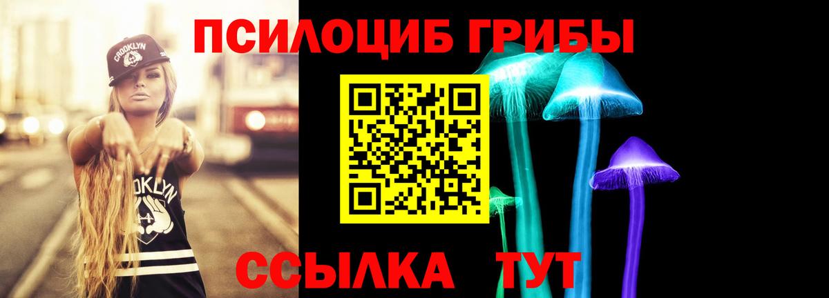 Отрадное  Галлюциногенные грибы Psilocybine cubensis  купить   Вход с VPN  Псилоцибиновые грибы Psilocybe 